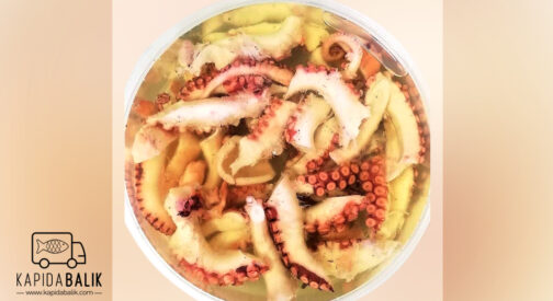 Octopus Salad /KG