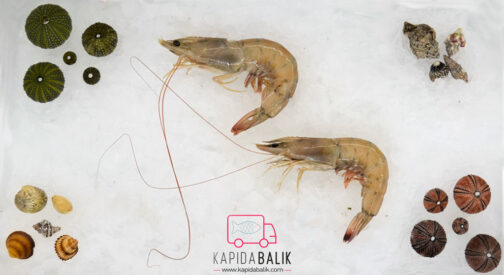 White shrimp (Local) 6/8/KG