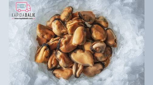 Mussel Meat (180-200 Pieces)/KG