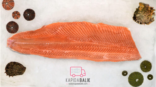 Norwegian Salmon Fillet
